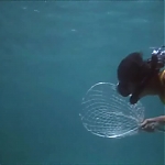 FLIPPER_-_E1X07_COUNTDOWN_FOR_FLIPPER_0158.jpg
