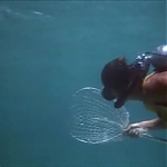 FLIPPER_-_E1X07_COUNTDOWN_FOR_FLIPPER_0159.jpg