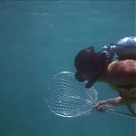 FLIPPER_-_E1X07_COUNTDOWN_FOR_FLIPPER_0160.jpg