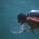 FLIPPER_-_E1X07_COUNTDOWN_FOR_FLIPPER_0161.jpg