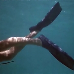 FLIPPER_-_E1X07_COUNTDOWN_FOR_FLIPPER_0174.jpg