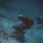 FLIPPER_-_E1X07_COUNTDOWN_FOR_FLIPPER_0176.jpg