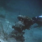 FLIPPER_-_E1X07_COUNTDOWN_FOR_FLIPPER_0177.jpg