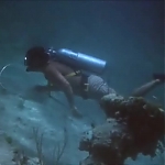 FLIPPER_-_E1X07_COUNTDOWN_FOR_FLIPPER_0187.jpg