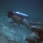 FLIPPER_-_E1X07_COUNTDOWN_FOR_FLIPPER_0188.jpg