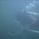 FLIPPER_-_E1X07_COUNTDOWN_FOR_FLIPPER_0194.jpg