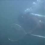 FLIPPER_-_E1X07_COUNTDOWN_FOR_FLIPPER_0195.jpg