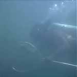 FLIPPER_-_E1X07_COUNTDOWN_FOR_FLIPPER_0196.jpg