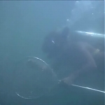 FLIPPER_-_E1X07_COUNTDOWN_FOR_FLIPPER_0197.jpg