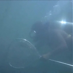 FLIPPER_-_E1X07_COUNTDOWN_FOR_FLIPPER_0198.jpg