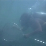 FLIPPER_-_E1X07_COUNTDOWN_FOR_FLIPPER_0199.jpg