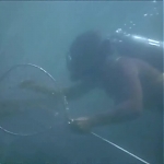 FLIPPER_-_E1X07_COUNTDOWN_FOR_FLIPPER_0202.jpg
