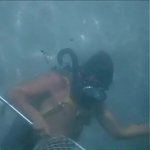 FLIPPER_-_E1X07_COUNTDOWN_FOR_FLIPPER_0286.jpg