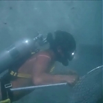 FLIPPER_-_E1X07_COUNTDOWN_FOR_FLIPPER_0289.jpg