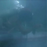FLIPPER_-_E1X07_COUNTDOWN_FOR_FLIPPER_0299.jpg