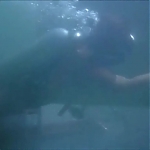 FLIPPER_-_E1X07_COUNTDOWN_FOR_FLIPPER_0302.jpg