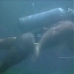 FLIPPER_-_E1X07_COUNTDOWN_FOR_FLIPPER_0325.jpg