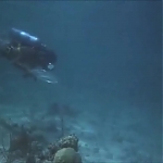 FLIPPER_-_E1X07_COUNTDOWN_FOR_FLIPPER_0328.jpg