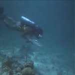 FLIPPER_-_E1X07_COUNTDOWN_FOR_FLIPPER_0331.jpg