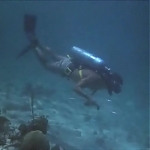 FLIPPER_-_E1X07_COUNTDOWN_FOR_FLIPPER_0335.jpg