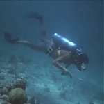 FLIPPER_-_E1X07_COUNTDOWN_FOR_FLIPPER_0336.jpg