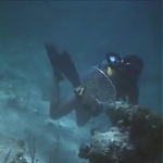 FLIPPER_-_E1X07_COUNTDOWN_FOR_FLIPPER_0343.jpg