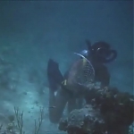 FLIPPER_-_E1X07_COUNTDOWN_FOR_FLIPPER_0344.jpg