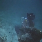 FLIPPER_-_E1X07_COUNTDOWN_FOR_FLIPPER_0345.jpg