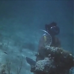 FLIPPER_-_E1X07_COUNTDOWN_FOR_FLIPPER_0346.jpg