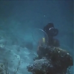 FLIPPER_-_E1X07_COUNTDOWN_FOR_FLIPPER_0347.jpg