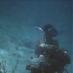 FLIPPER_-_E1X07_COUNTDOWN_FOR_FLIPPER_0348.jpg
