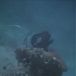 FLIPPER_-_E1X07_COUNTDOWN_FOR_FLIPPER_0358.jpg