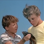 FLIPPER_-_E1X07_COUNTDOWN_FOR_FLIPPER_0710.jpg