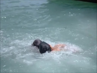 FLIPPER_-_E1X07_COUNTDOWN_FOR_FLIPPER_1265.jpg