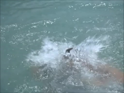FLIPPER_-_E1X07_COUNTDOWN_FOR_FLIPPER_1278.jpg