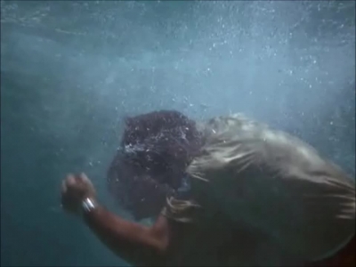FLIPPER_-_E1X07_COUNTDOWN_FOR_FLIPPER_1330.jpg