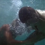 FLIPPER_-_E1X07_COUNTDOWN_FOR_FLIPPER_1237.jpg