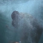 FLIPPER_-_E1X07_COUNTDOWN_FOR_FLIPPER_1317.jpg