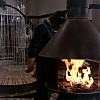 MCMILLAN_AND_WIFE_-_E1X05_THE_FACE_OF_MURDER_383.jpg