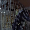 MCMILLAN_AND_WIFE_-_E1X05_THE_FACE_OF_MURDER_635.jpg