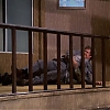 MISSION_IMPOSSIBLE_-_E6X22_TRAPPED_564.jpg