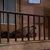 MISSION_IMPOSSIBLE_-_E6X22_TRAPPED_566.jpg
