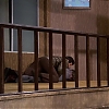 MISSION_IMPOSSIBLE_-_E6X22_TRAPPED_567.jpg