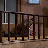 MISSION_IMPOSSIBLE_-_E6X22_TRAPPED_569.jpg