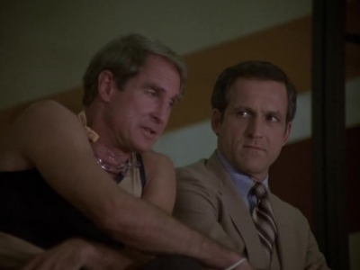 HILL_STREET_BLUES_-_E2X04_THE_SECOND_OLDEST_PROFESSION_313.jpg