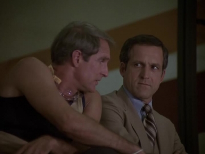 HILL_STREET_BLUES_-_E2X04_THE_SECOND_OLDEST_PROFESSION_316.jpg