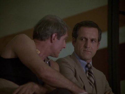 HILL_STREET_BLUES_-_E2X04_THE_SECOND_OLDEST_PROFESSION_325.jpg
