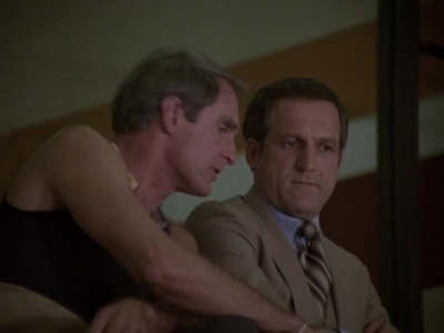 HILL_STREET_BLUES_-_E2X04_THE_SECOND_OLDEST_PROFESSION_440.jpg
