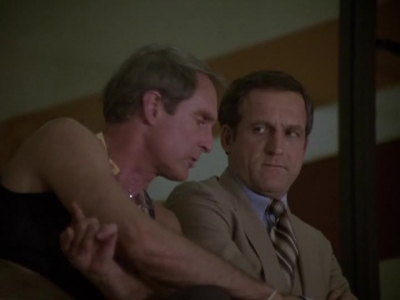 HILL_STREET_BLUES_-_E2X04_THE_SECOND_OLDEST_PROFESSION_447.jpg