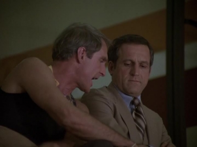 HILL_STREET_BLUES_-_E2X04_THE_SECOND_OLDEST_PROFESSION_452.jpg